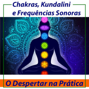 curso chakras 2